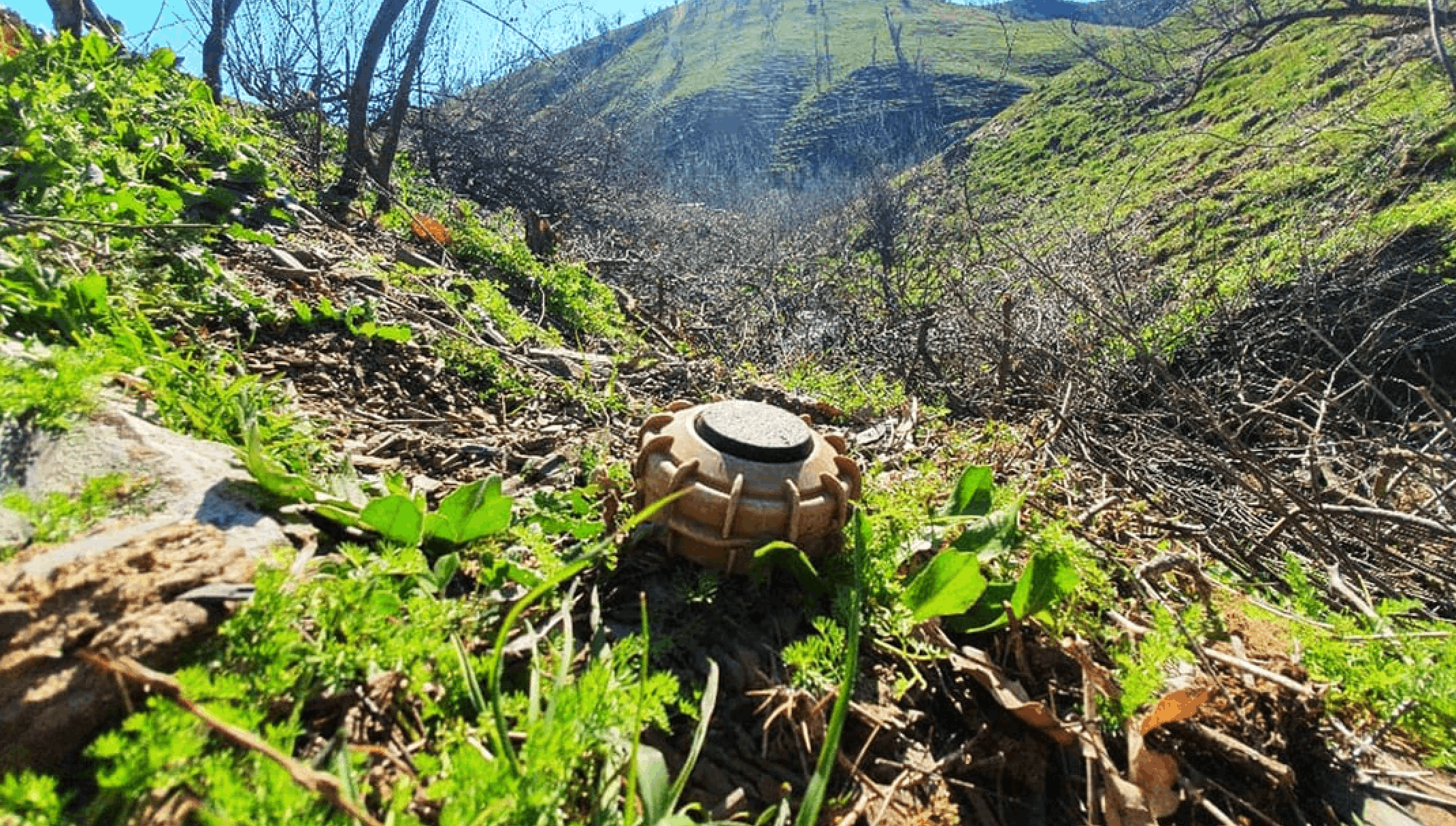 Clearing the Ground for Lasting Peace