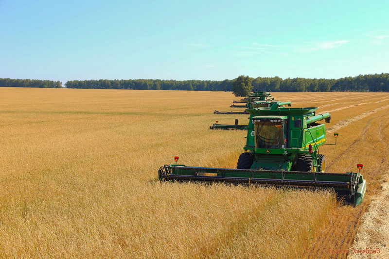 The Ebb and Flow of Kazakhstan’s Agricultural Prospects